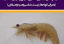 تالیف کتاب میگو های تجاری خلیج فارس و دریای عمان