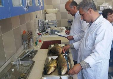 عقد قرار داد طرح پایش و مطالعه لیمنولوژیک و آبزیان دریاچه شهدای خلیج فارس 