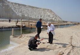 امکان سنجی پرورش آرتمیا در مجتمع پتاس خور و بیابانک