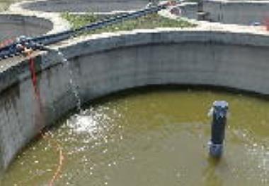 برگزاری جلسه دفاعیه  پروژه" بررسی ساختار جمعیت فیتوپلانکتون دراستخرهای پرورش میگو وانامی"