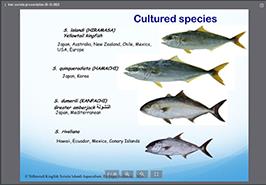 نشست علمی تخصصی در پژوهشکده اکولوژی خلیج فارس و دریای عمان_ بندرعباس