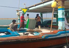 بازدید از بزرگترین اسکله صیادی چابهار