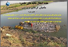 برگزاری نشست تخصصی انتقال یافته های علمی ماهیان گرمابی پرورشی