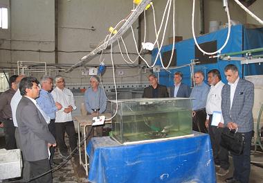 برگزاری  جلسه هم اندیشی با پرورش دهندگان میگوی استان خوزستان