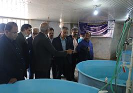 نشست صمیمانه هم‌اندیشی ملی حوزه تیلاپیا در یزد با حضور بخش خصوصی