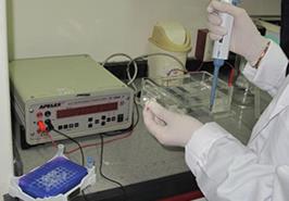 دستیابی به بذر واکسن باکتریایی در ماهیان دریایی