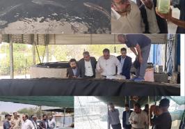 بازدید  رئیس سازمان شیلات ایران و هیات همراه از ایستگاه تحقیقات نرمتنان بندر لنگه