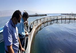 بازدید از طرح پرورش ماهی در قفس