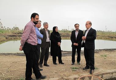 بازدید رئیس و معاون مؤسسه تحقیقات علوم شیلاتی کشور از مراحل اجرایی طرح ملی اصلاح نژاد ماهی کپور