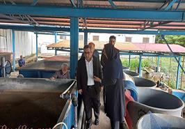 بازدید از مرکز تحقیقات ماهیان سردآبی کشور_ تنکابن