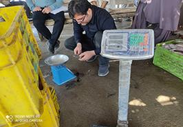 پایش وضعیت صید میگوی دریایی منطقه کنارک و پزم