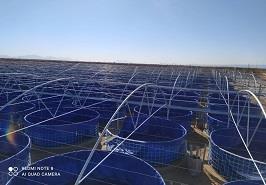 بازدید حجت الاسلام سعیدیان از مرکز تحقیقات ملی آبزیان آب های شور