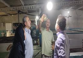 همکاری های مشترک در کشت ریز جلبک