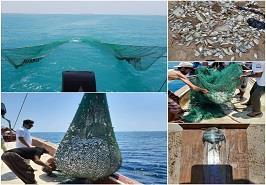 آغاز گشت تحقیقاتی برای تعيين زمان گشایش صيد میگو در آبهای استان بوشهر