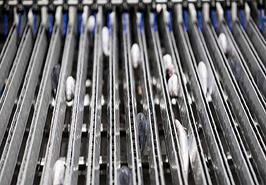 رقم بند اتوماتیک ماهی و بچه ماهی زنده و لاشه با شمارنده