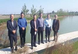 بازدید رئیس مرکز و مسئولان بخش بازسازی ذخایر و اکولوژی از مزرعه مدرن هیرکان