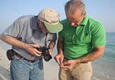 نتایج پژوهشی علل تلفات ماهیان پهلو نقره ای در جنوب جزیره کیش