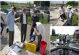 اجرایی شدن طرح یاوران تولید