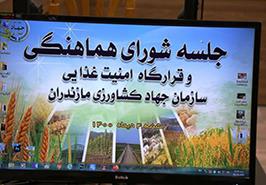 جلسه مشترک شورای هماهنگی سازمان جهاد کشاورزی و قرارگاه امنیت غذایی