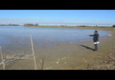 آغاز فاز اول طرح ترویجی