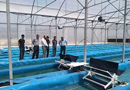 روند تولید جلبک اسپیرولینا در مركز سمنان (شاهرود)