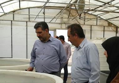 بازدید از مرکز تحقیقات ملی آبزیان آبهای شور