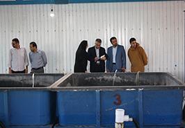 بازدید از مرکز تحقیقات ماهیان سردآبی کشور