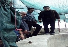 بازدید از مزرعه پرورش ماهی به منظور راه اندازی سیستم بیوفلاک