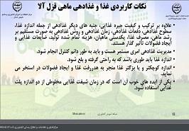 برگزاری کارگاه آموزشی