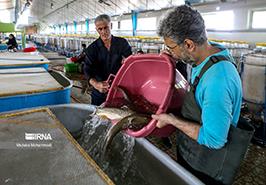 بانک زنده گونه در معرض خطر 