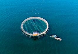 گردهمایی ۱۴۰۴ مؤسسه تحقیقات علوم شیلاتی برگزار شد