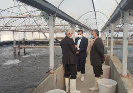 معرفی دستاوردهای زیست فناورانه پژوهشکده میگوی کشور