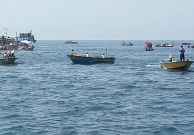 آغاز گشت های تحقیقاتی تعیین توده زنده میگو 