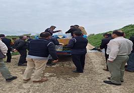 آئین رهاسازی مولدین کپور دریایی به رودخانه جهت تکثیر طبیعی