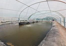 بازدید از دو مرکز فعال نرسری میگو در چوئبده آبادان