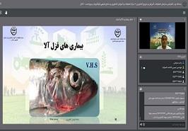 برگزاری کارگاه آموزشی