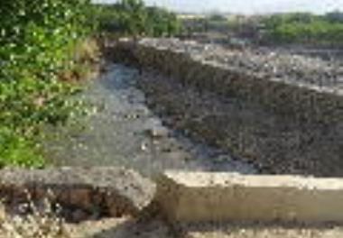 بازدید از مزارع سیل زده