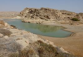 اولین گزارش از شناسایی زیستگاه های ساحلی کشندان پشت سدی در سواحل خلیج فارس