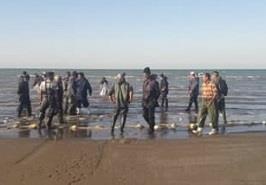 بازدید میدانی از ترکیب صید پره استان گلستان