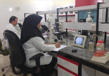 آزمایشگاه تحقیقاتی برتر