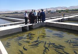 بازدید از مركز تحقیقات ژنتیک و اصلاح نژاد ماهیان سردآبی شهید مطهری یاسوج