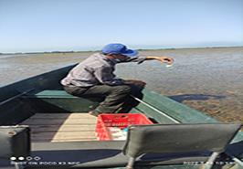 بررسی کارشناسی تالاب انزلی