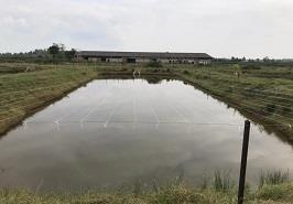 عقد تفاهم نامه همکاری مشترک پژوهشکده آبزی پروری آبهای داخلی با شرکت ماهی گوشت گیلان