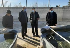 بازدید ناظر دامپزشکی از روند اجرای طرح تولید بیوسیلاژ ضایعات طیور