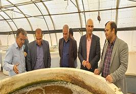 بازدید از مرکز تحقیقات ملی آبزیان آب های شور_ بافق یزد