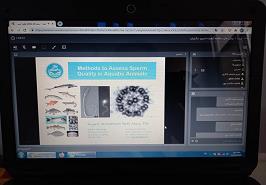 برگزاری یازدهمین کارگاه آموزشی