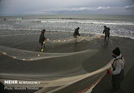 بهره‌برداری حداکثری از ظرفیت دریا باید با حفظ اکوسیستم زیستی باشد