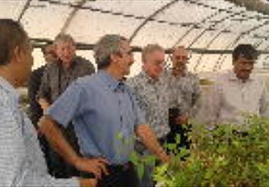 بازدید کارشناسان خارجی از مرکز تحقیقات ملی آبزیان آبهای شور