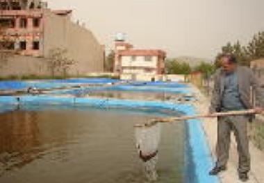 جشنواره و نمایشگاه ملی  ایده، استارتاپ و شرکت های دانش بنیان