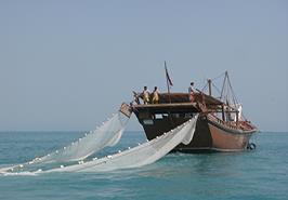 برنامه روز مزرعه